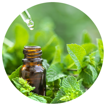 Rev5 Revive Muscle Gel Natural Ingredients